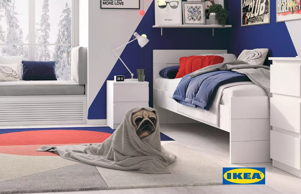    IKEA    